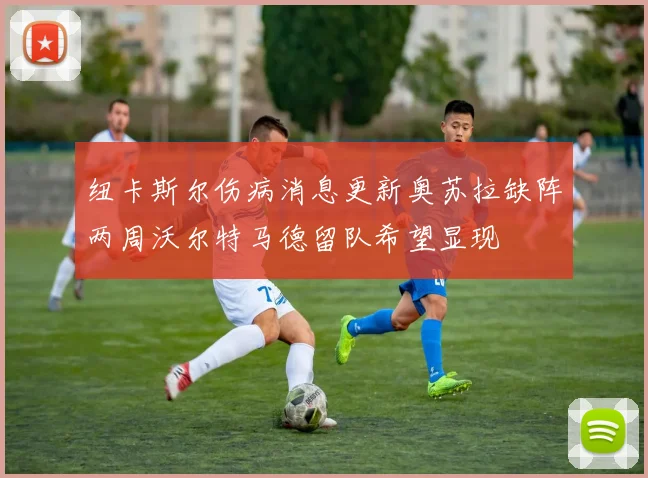 纽卡斯尔伤病消息更新奥苏拉缺阵两周沃尔特马德留队希望显现
