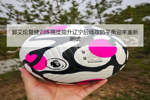 郭艾伦复健训练强度提升辽宁后场攻防平衡迎来重新测试 - YABO.COM