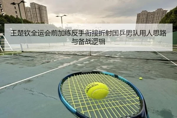 王楚钦全运会前加练反手衔接折射国乒男队用人思路与备战逻辑 - YABO.COM