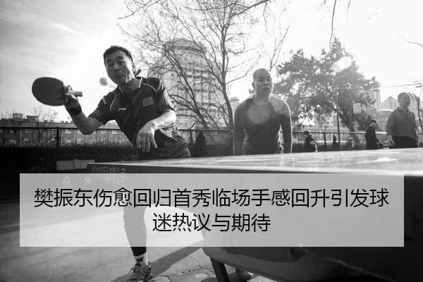 樊振东伤愈回归首秀临场手感回升引发球迷热议与期待 - YABO.COM