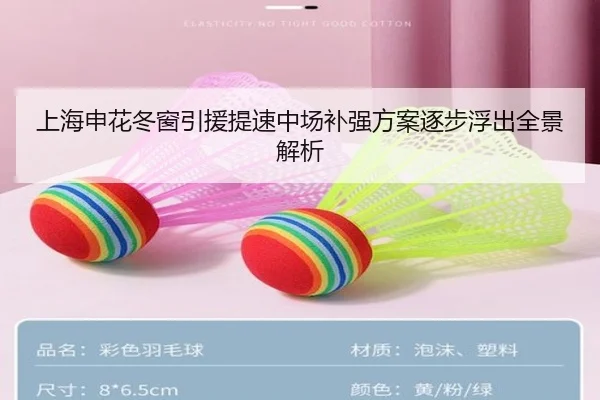 上海申花冬窗引援提速中场补强方案逐步浮出全景解析 - YABO.COM